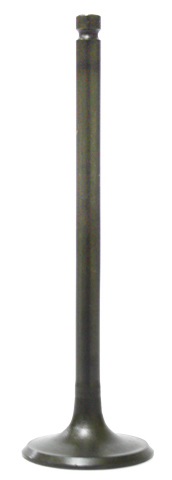 Intake Valve