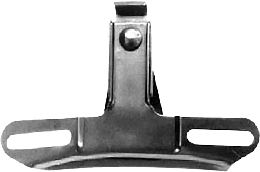 HARDDRIVE License Plate Mounting Bracket - View 1