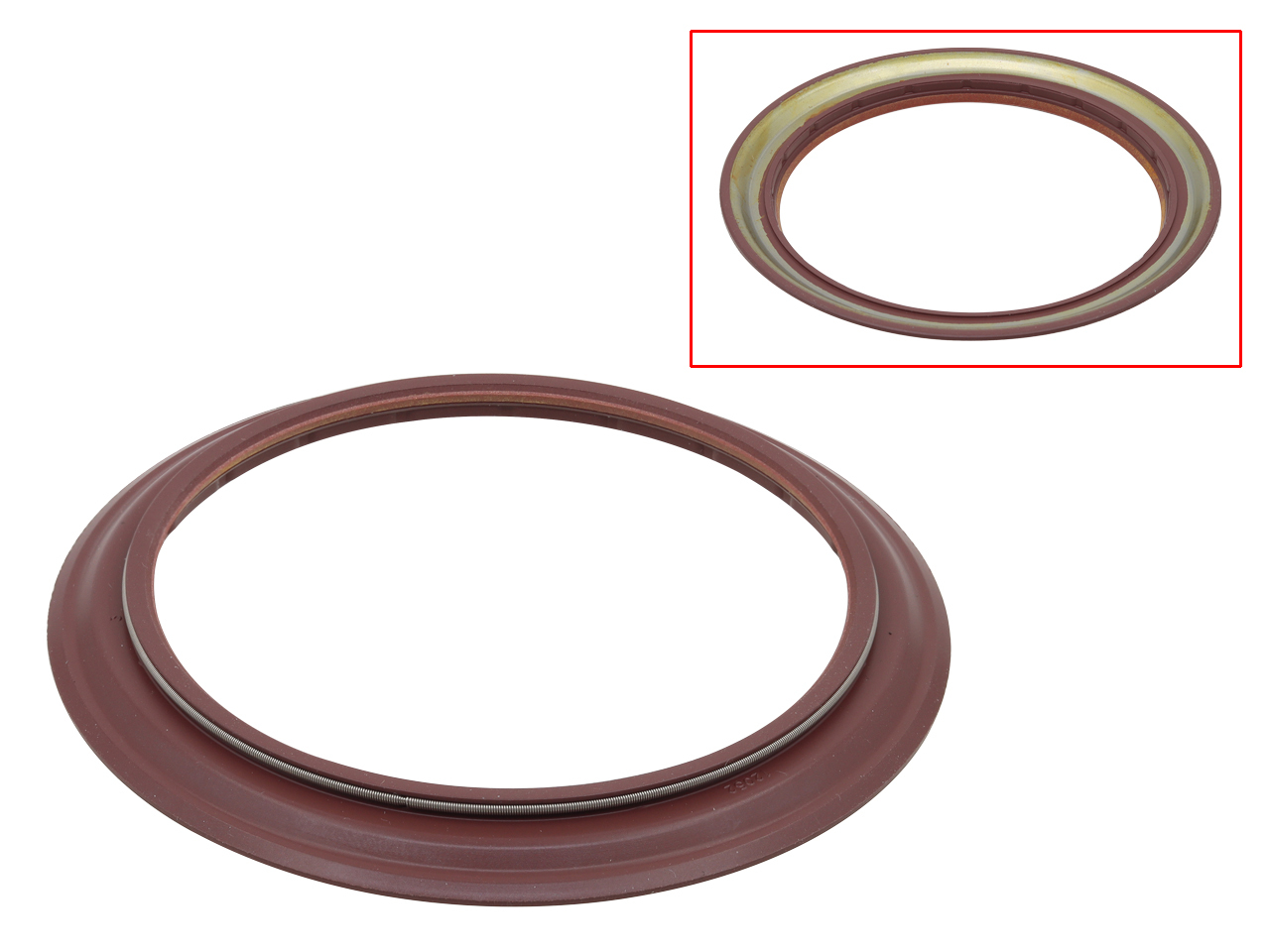 Oil Seal