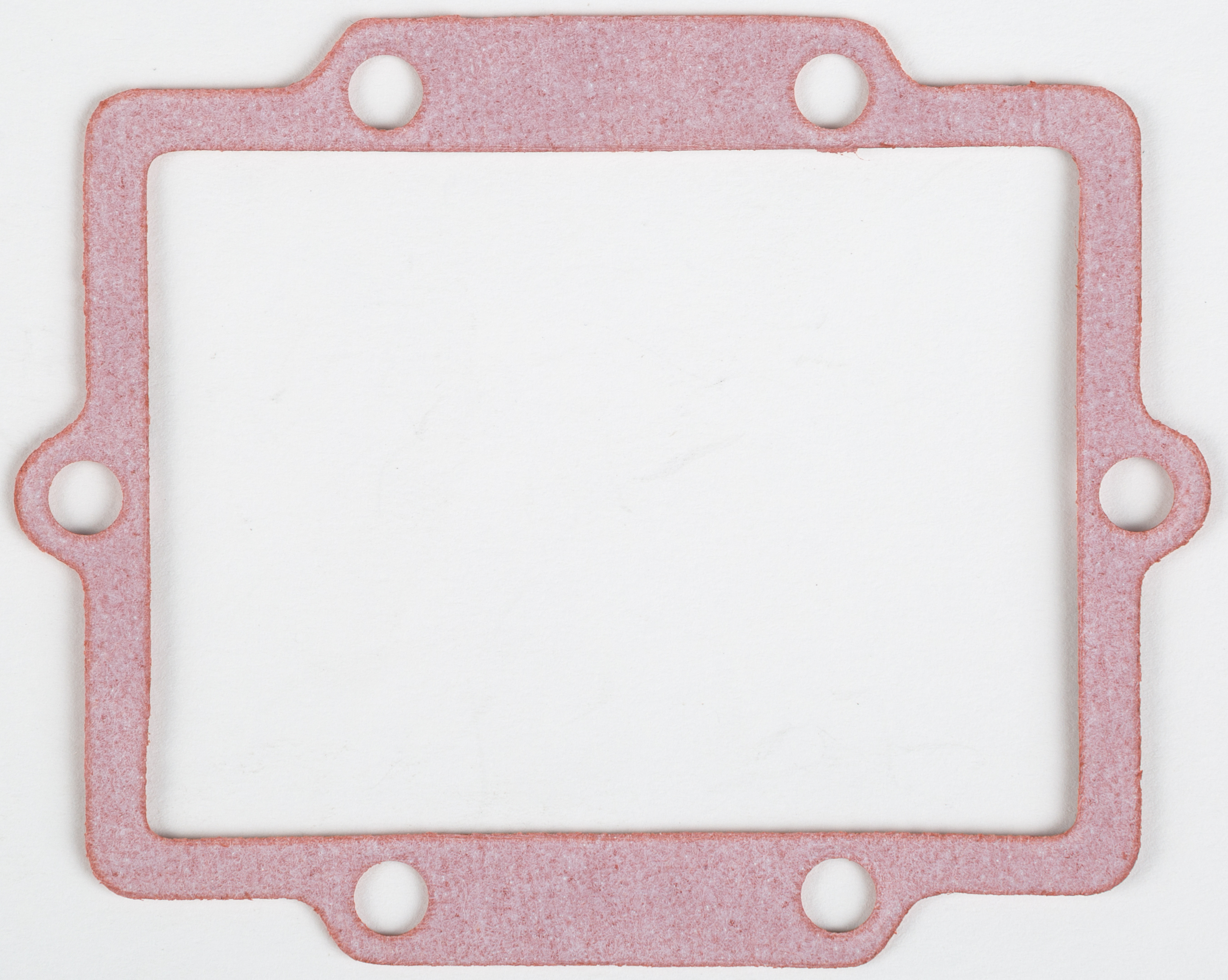 Rad Valve Gasket