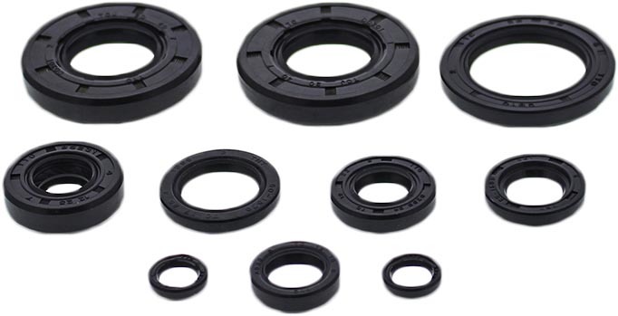 Oil Seal Kit
