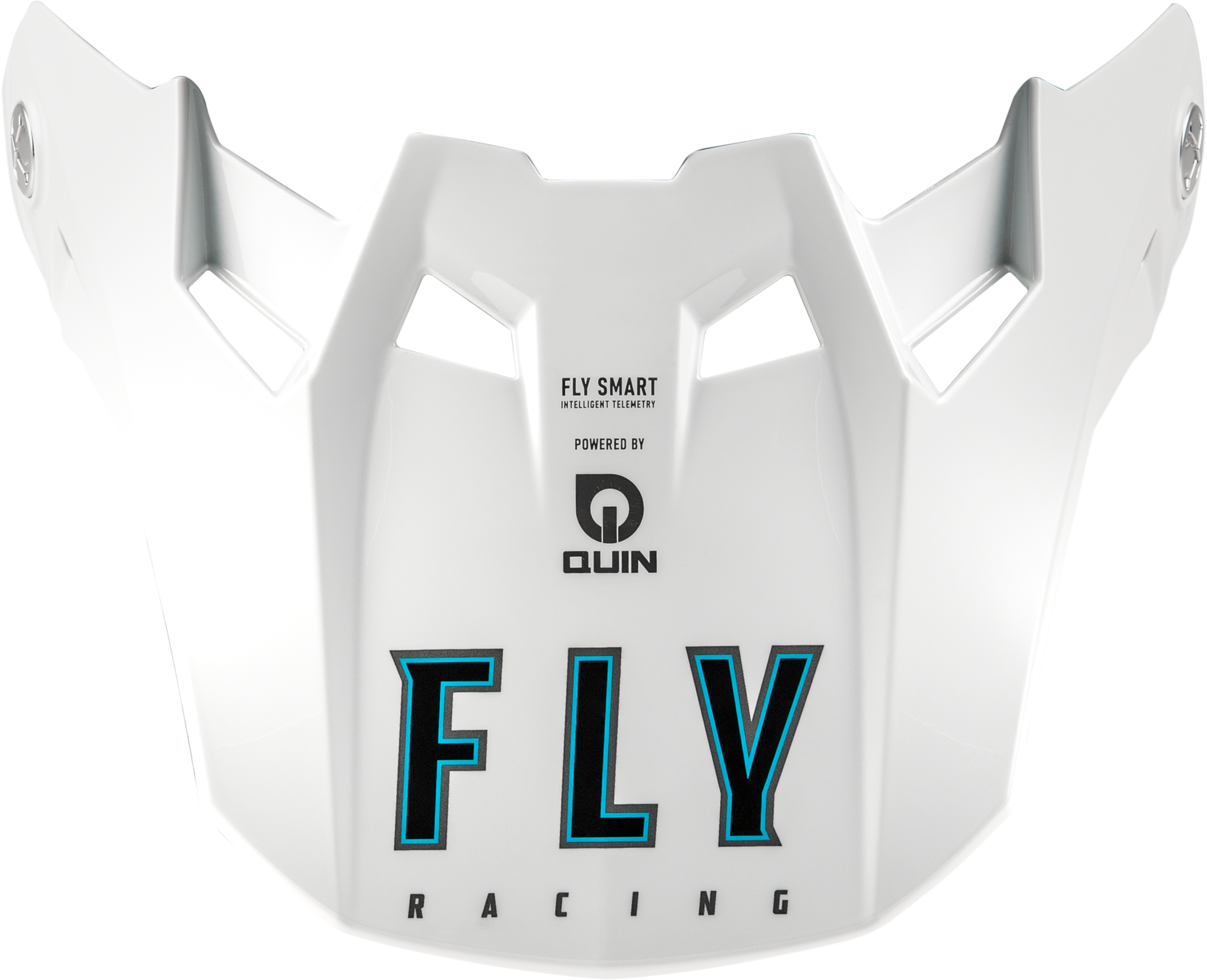 2025 Formula S Visor