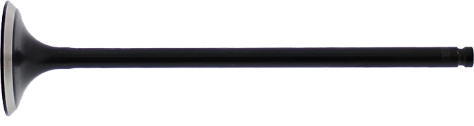 Intake Valve