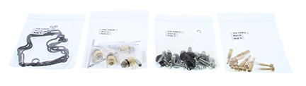 Carburetor Rebuild Kit