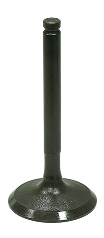 Intake Valve
