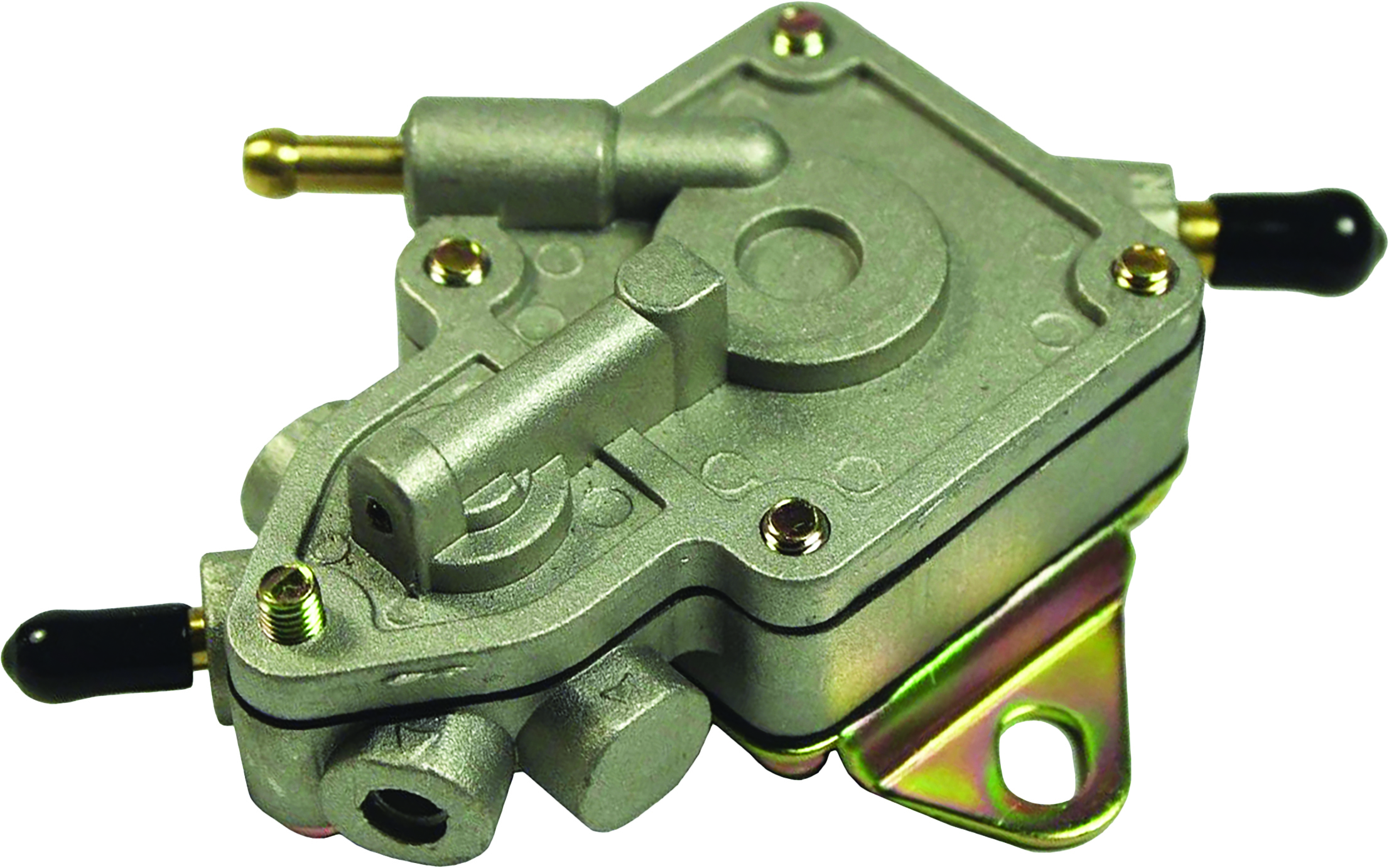 QUANTUM Fuel Pump - View 1