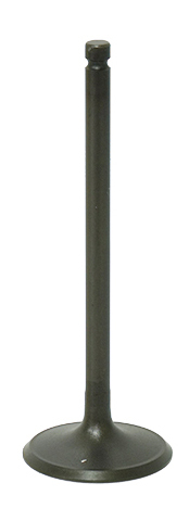 Intake Valve