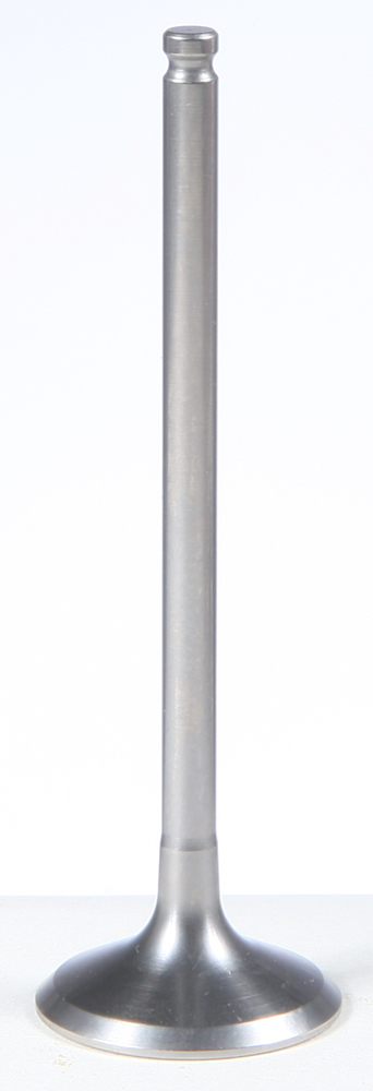 Exhaust Valve