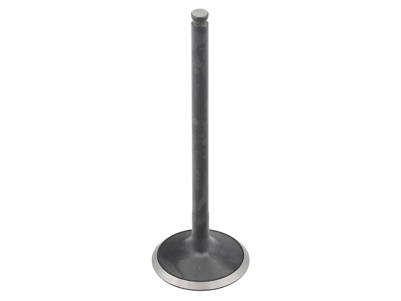 Exhaust Valve