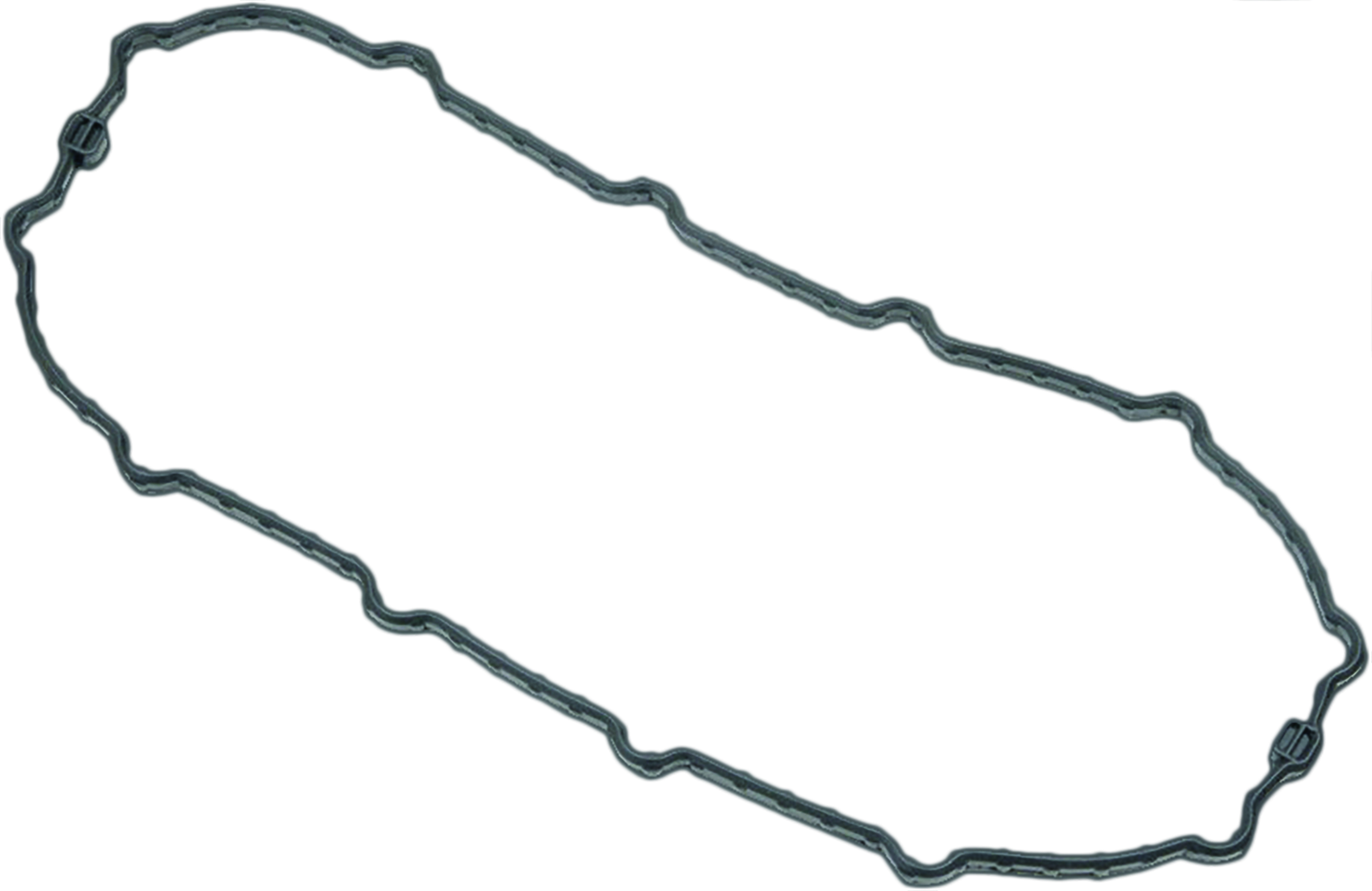 Fuel Pump Door Gasket