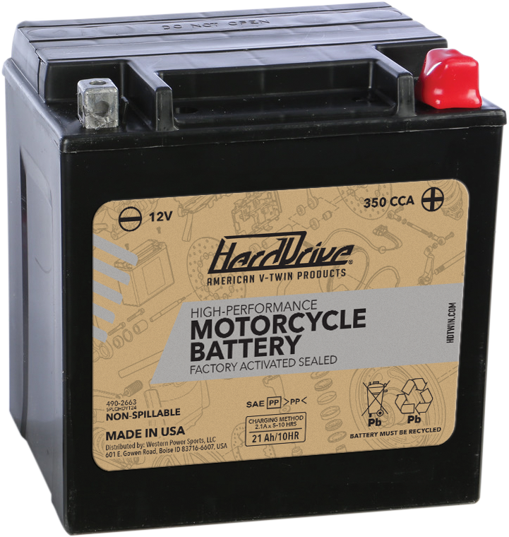 AGM Sealed Battery