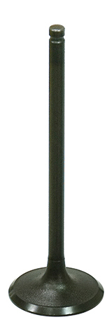 Intake Valve