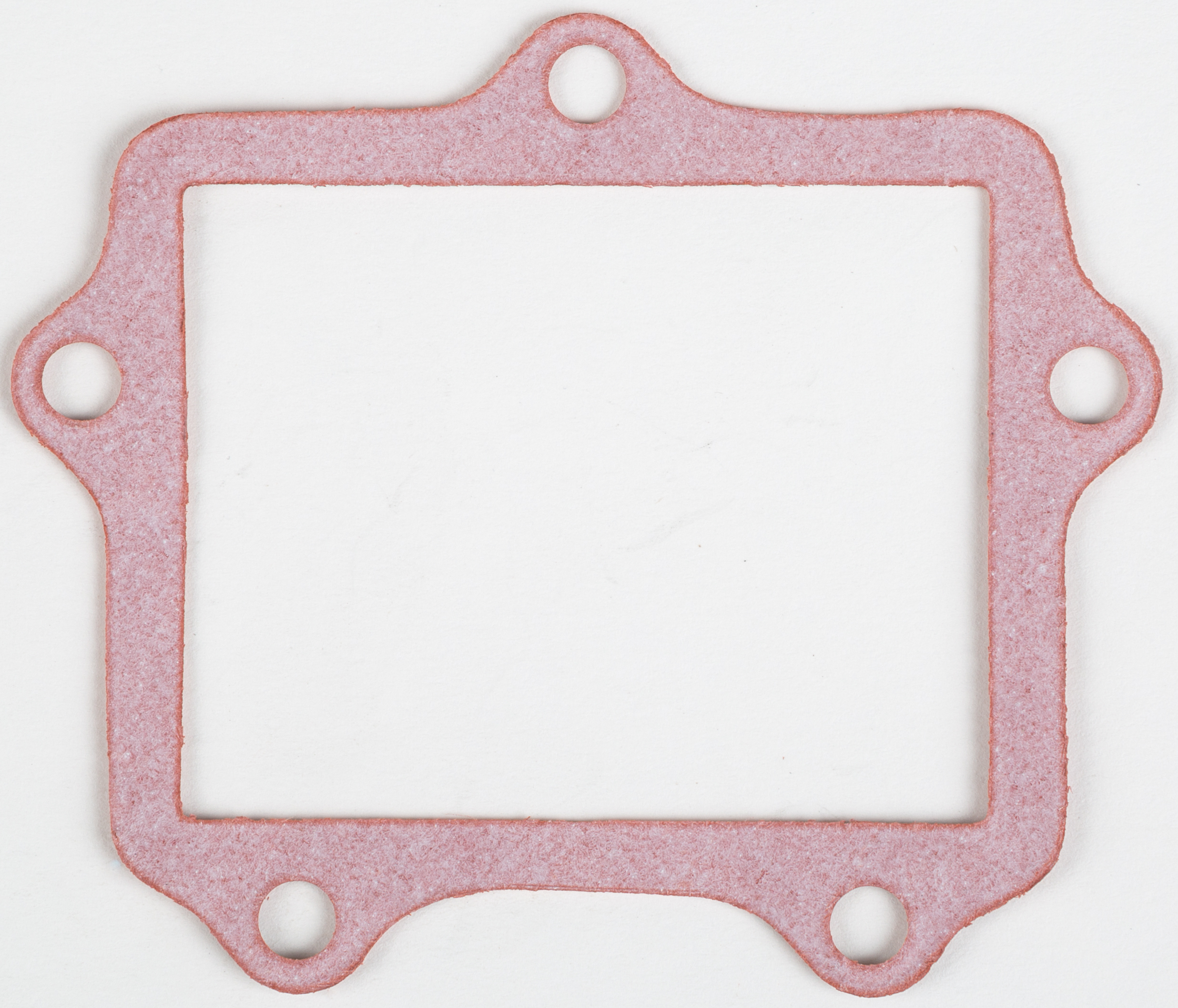 Rad Valve Gasket