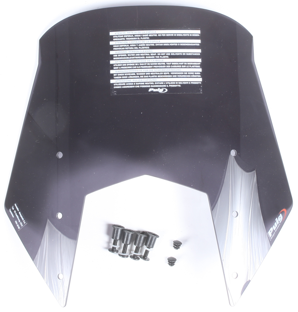Naked New Gen Windscreen