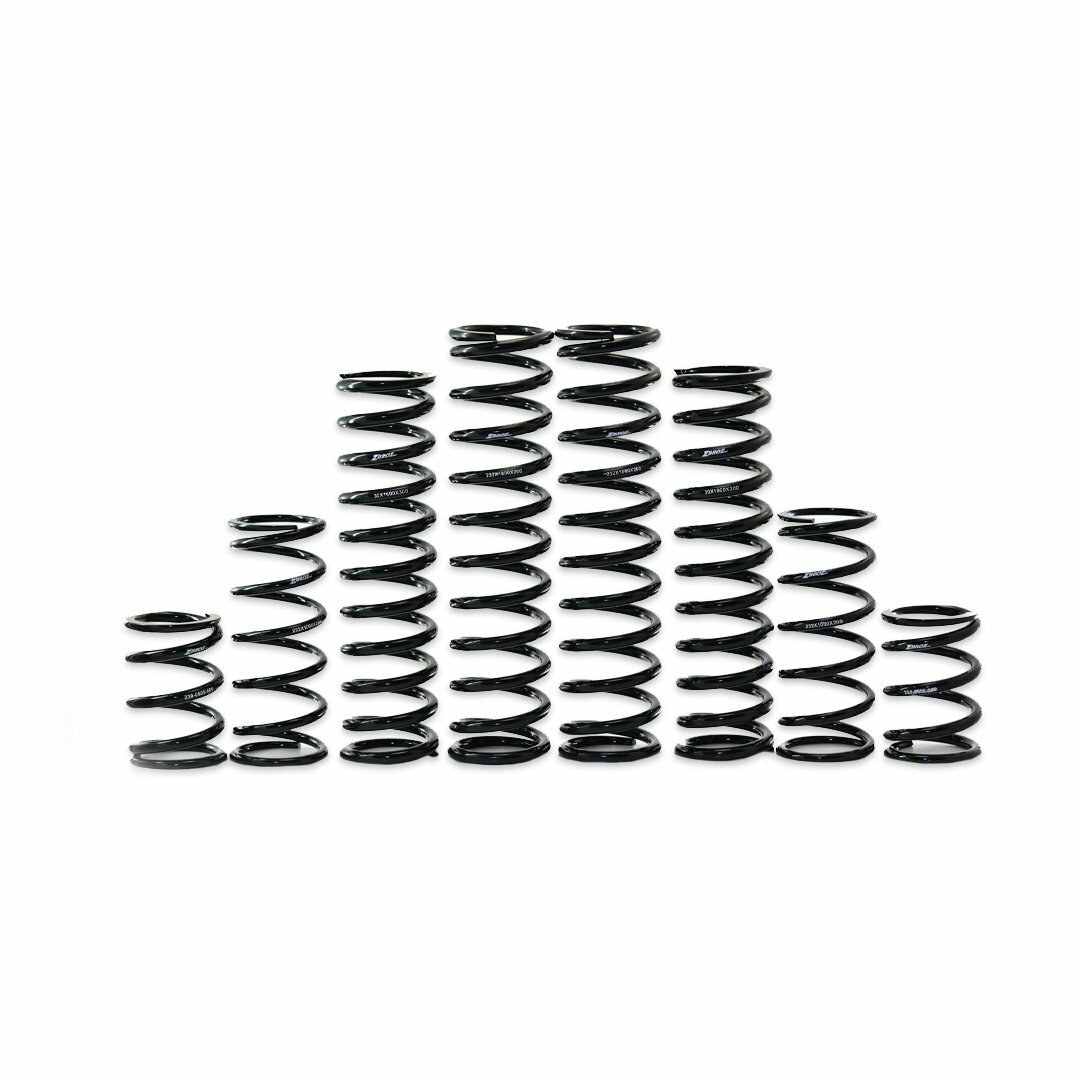Dual Rate Spring Kit