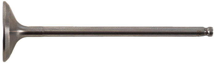 Intake Valve