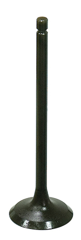 Exhaust Valve
