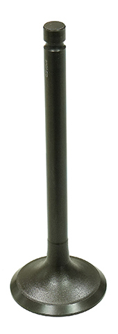 Exhaust Valve
