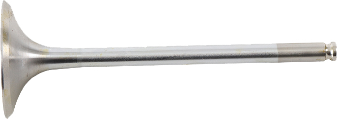 Intake Valve