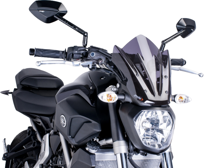 Naked New Gen Windscreen