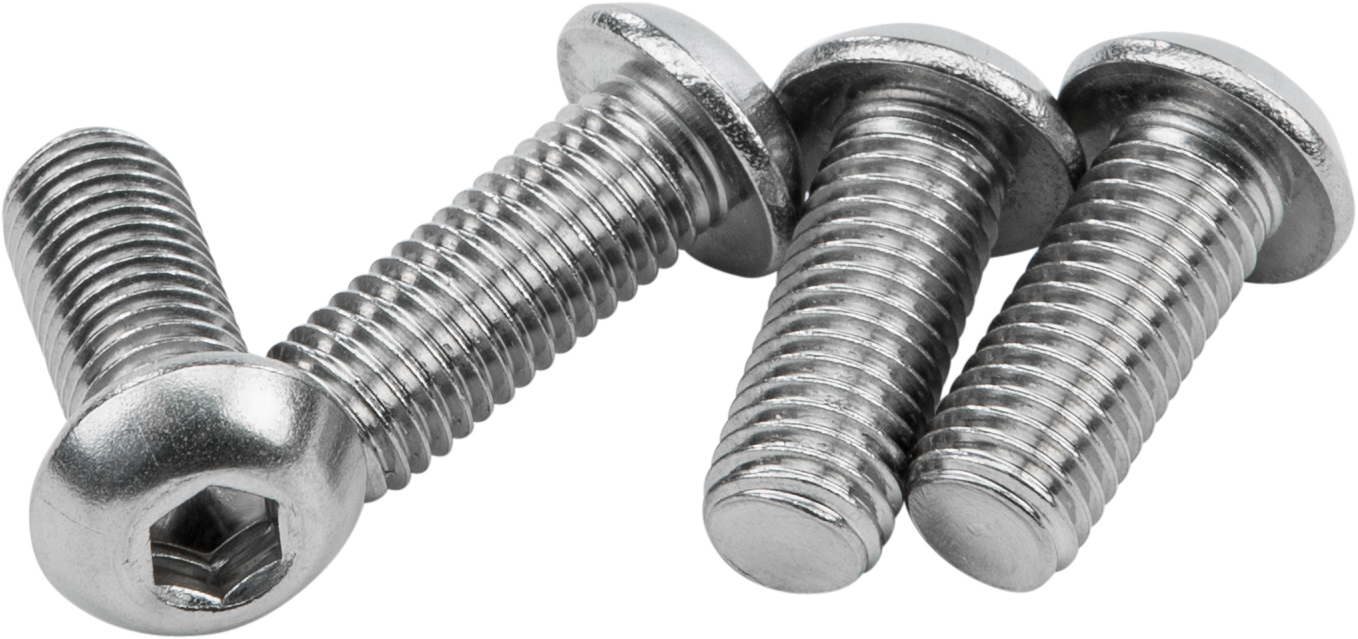HARDDRIVE Sissybar 1/4-28 X 5/8 Stainless Hardware - View 1