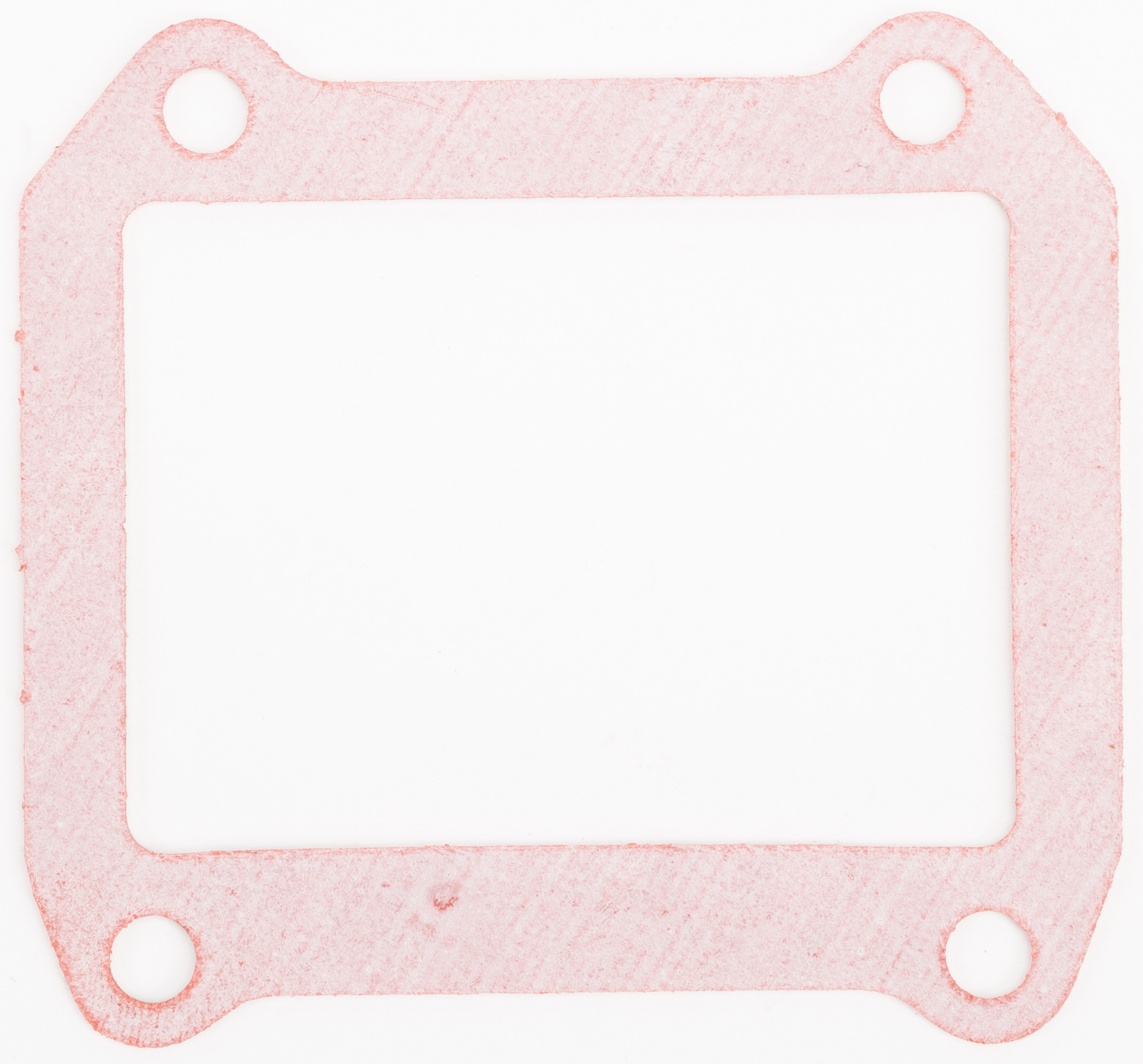 Rad Valve Gasket
