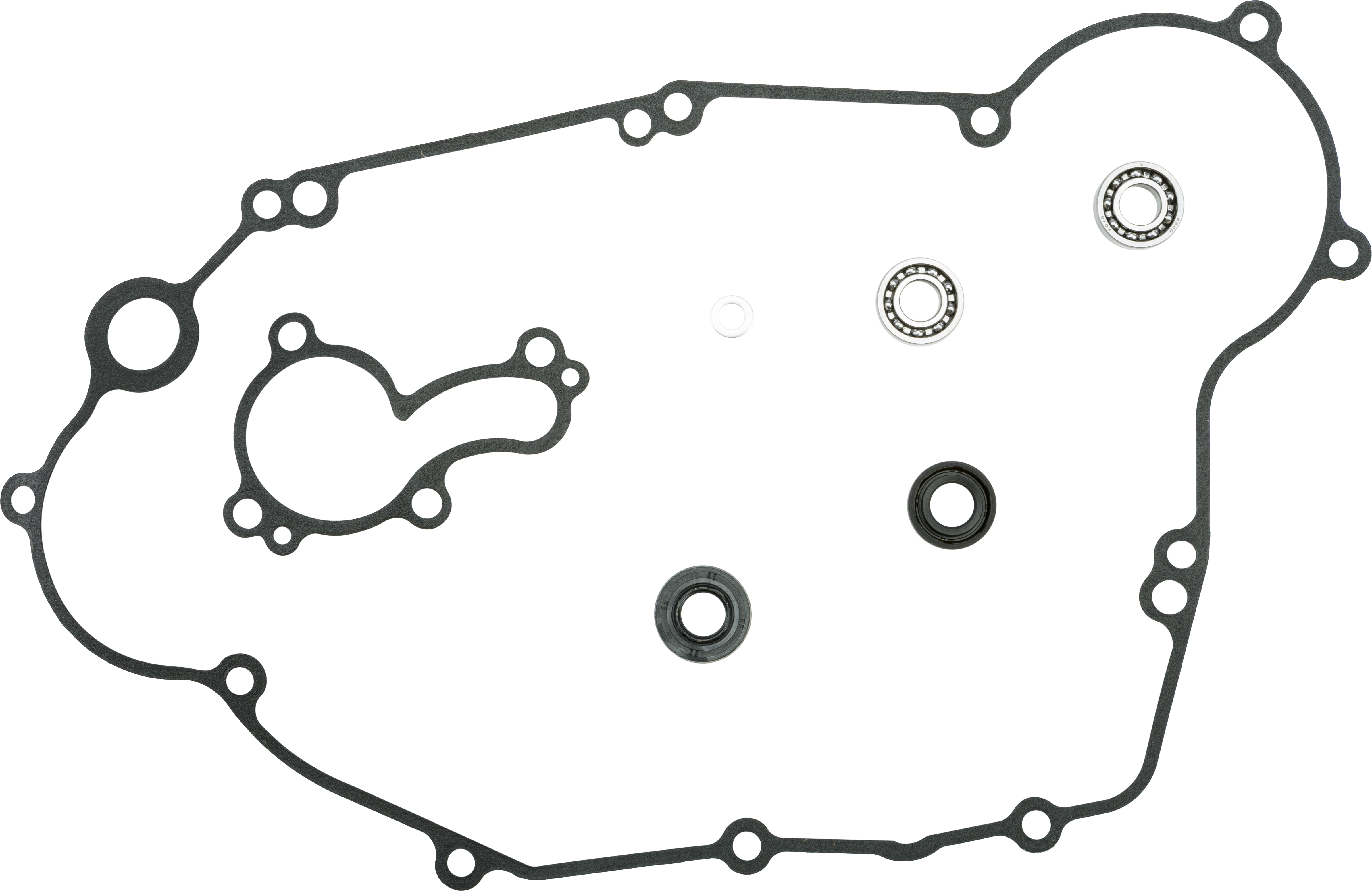Water Pump Repair Kit