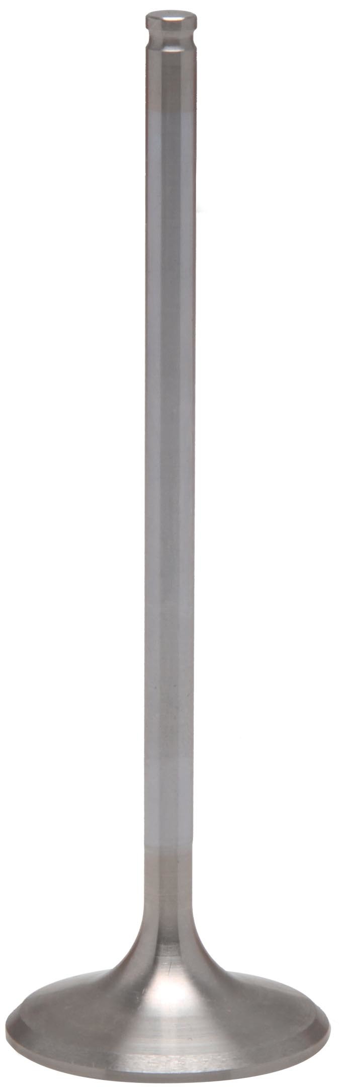 Exhaust Valve
