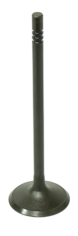 Intake Valve