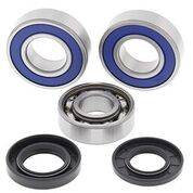 Chaincase Bearing and Seal Kit
