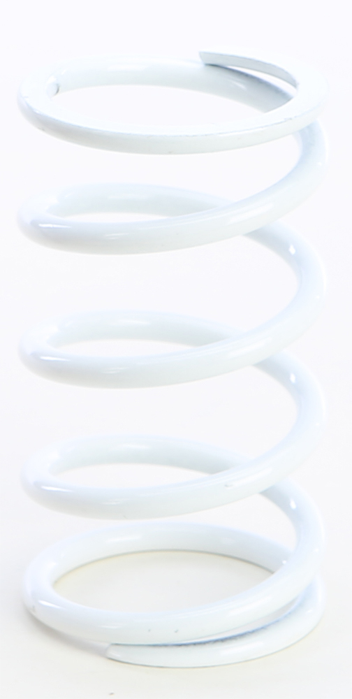 Primary Clutch Spring