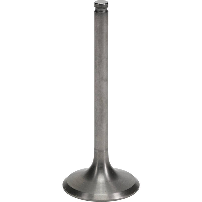 Exhaust Valve