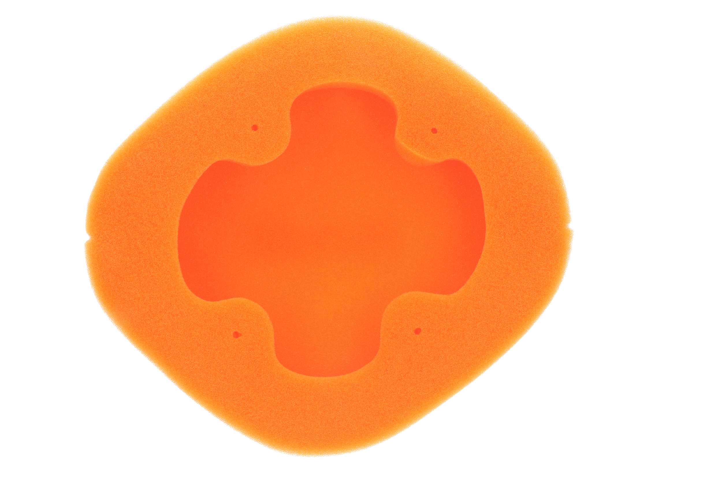 Foam Air Filter