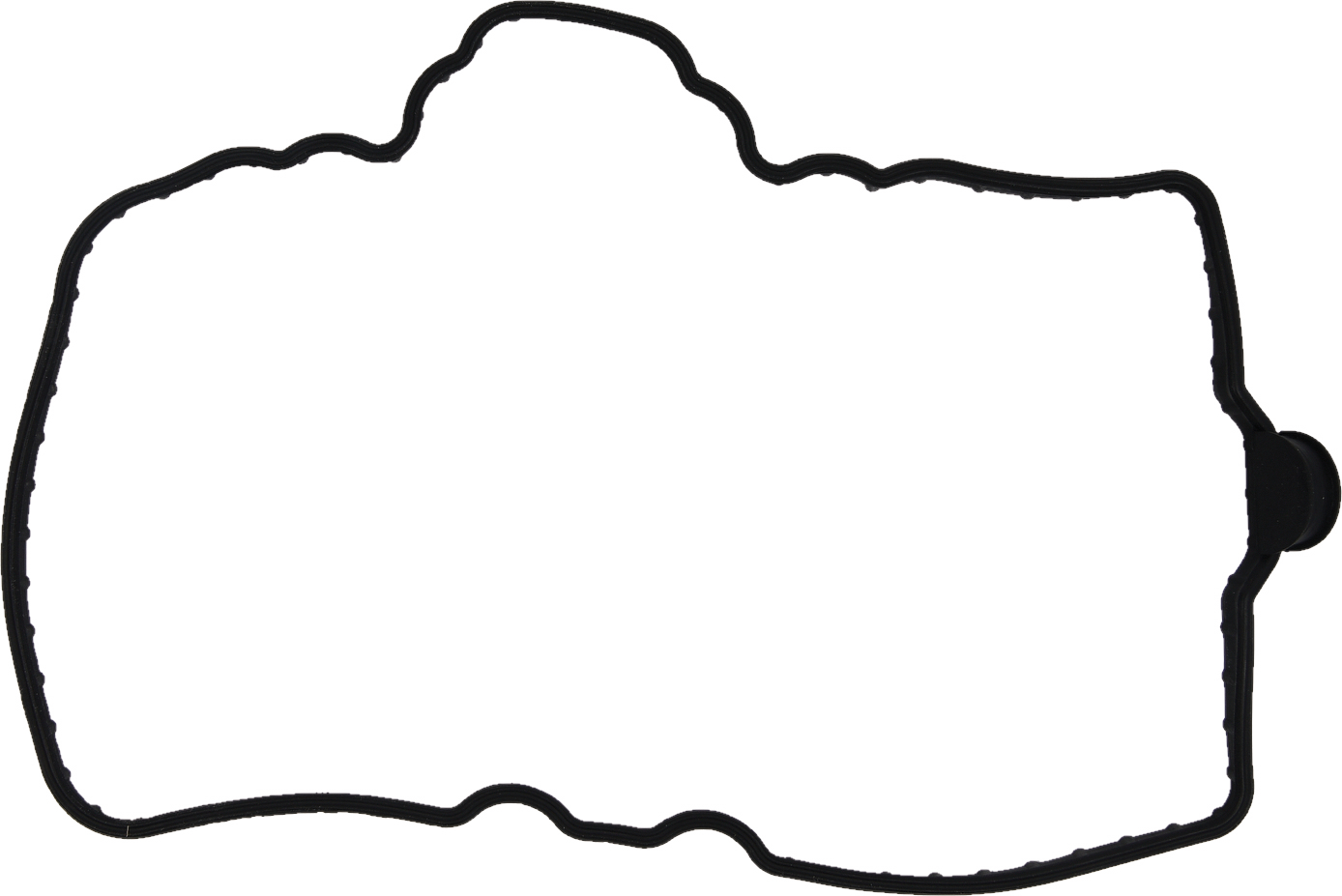 Valve Cover Gasket