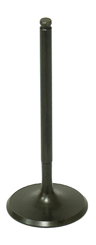 Intake Valve