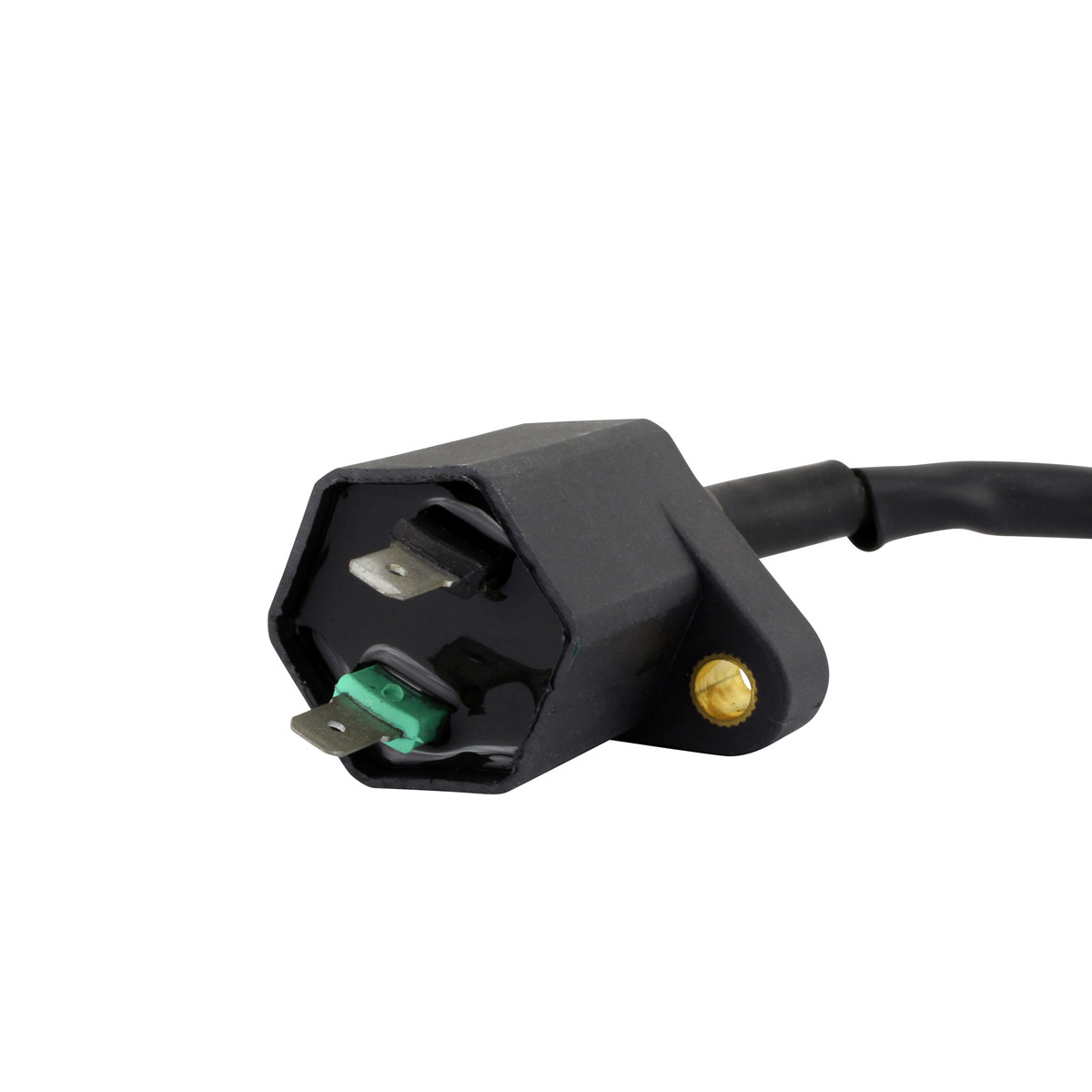 External Ignition Coils