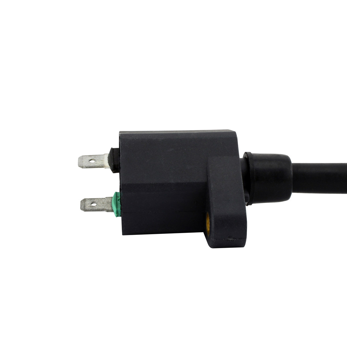 External Ignition Coils