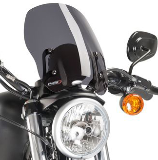 Naked New Gen Windscreen