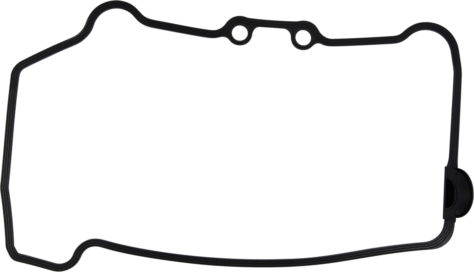 Valve Cover Gasket