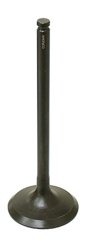 Exhaust Valve