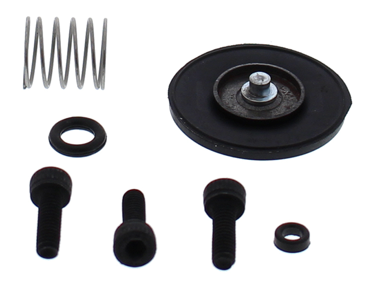 Accelerator Pump Rebuild Kit