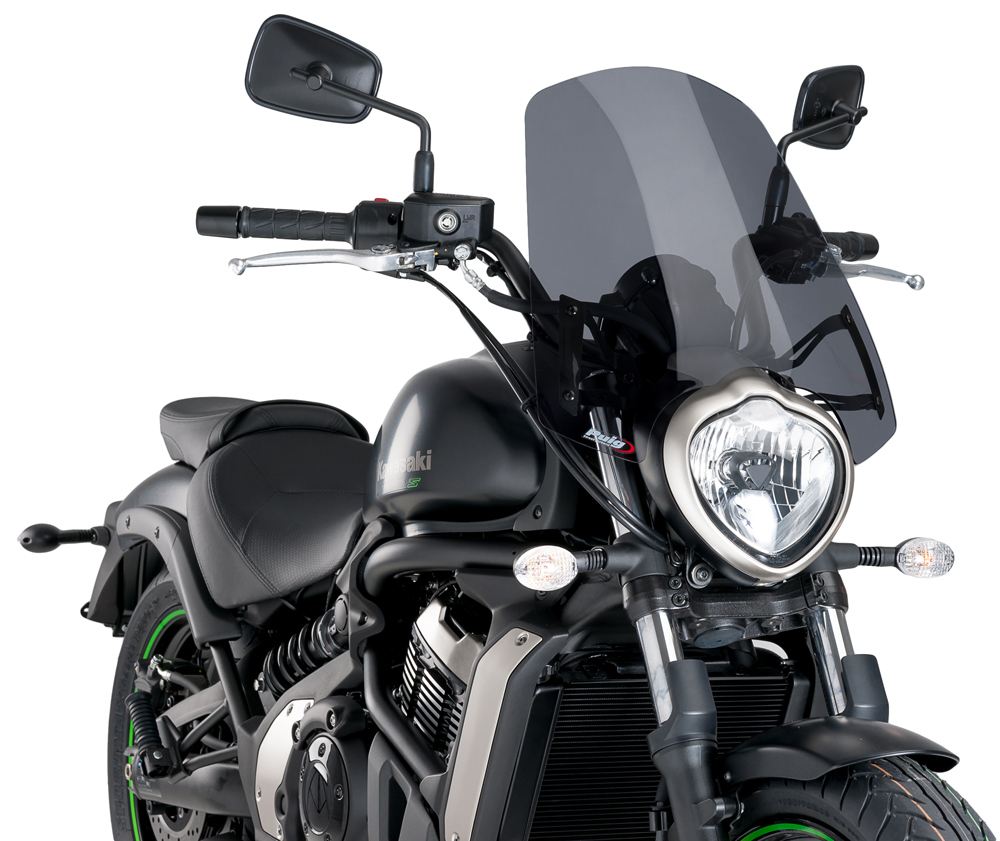 Naked New Gen Windscreen