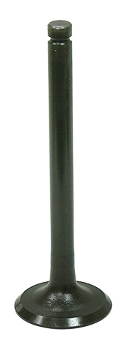 Exhaust Valve