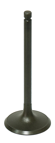 Intake Valve