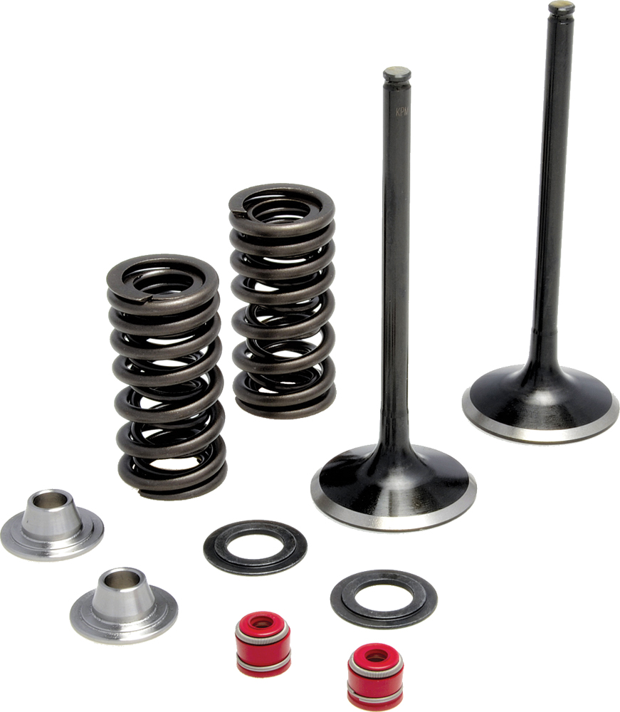 KPMI Intake Valve Spring Kit - View 1