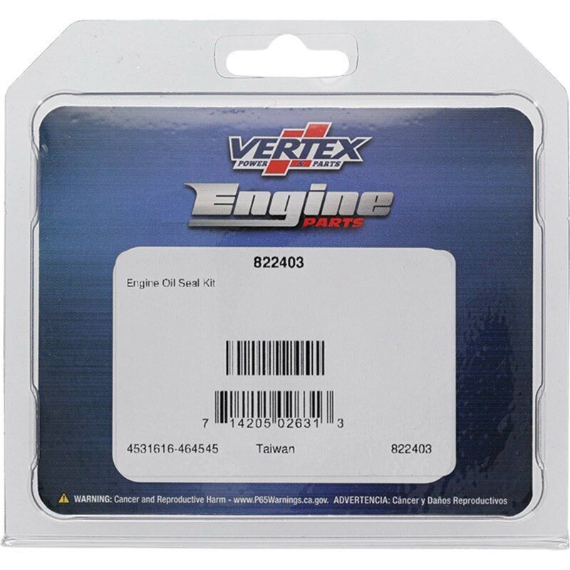 Oil Seal Kit