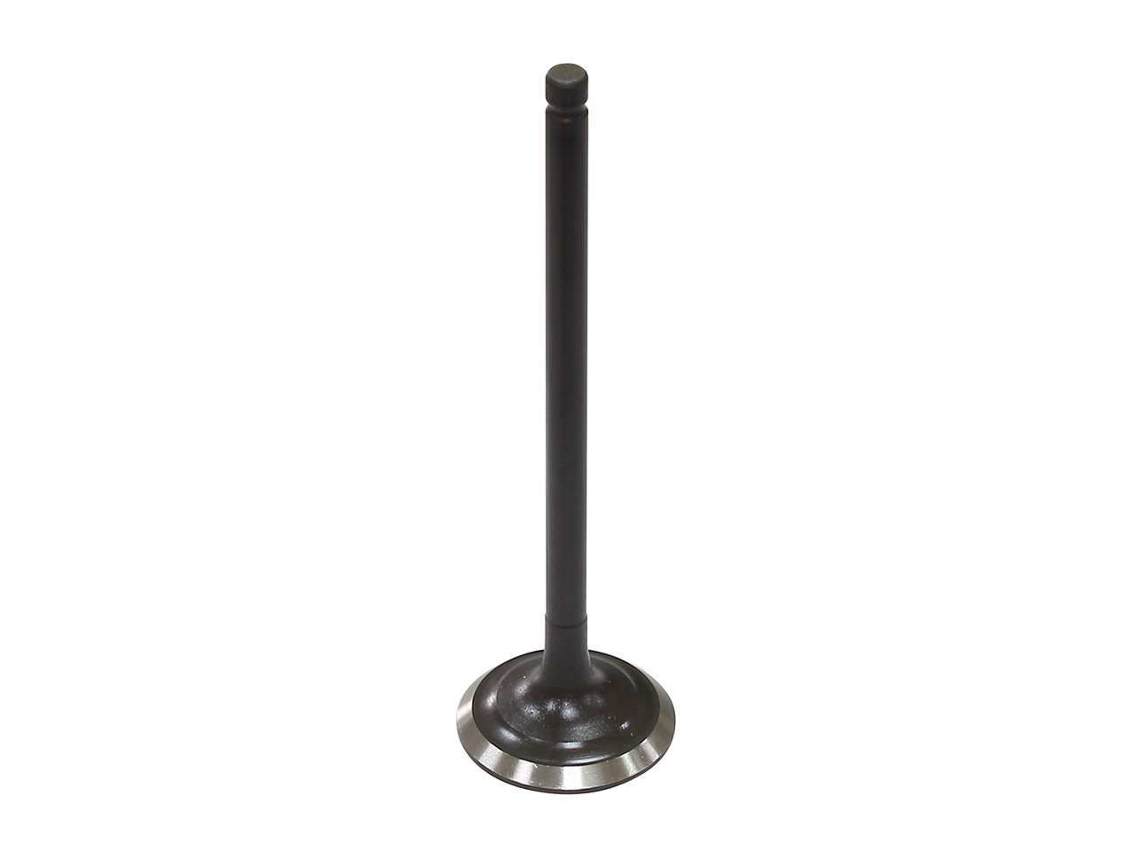 Exhaust Valve
