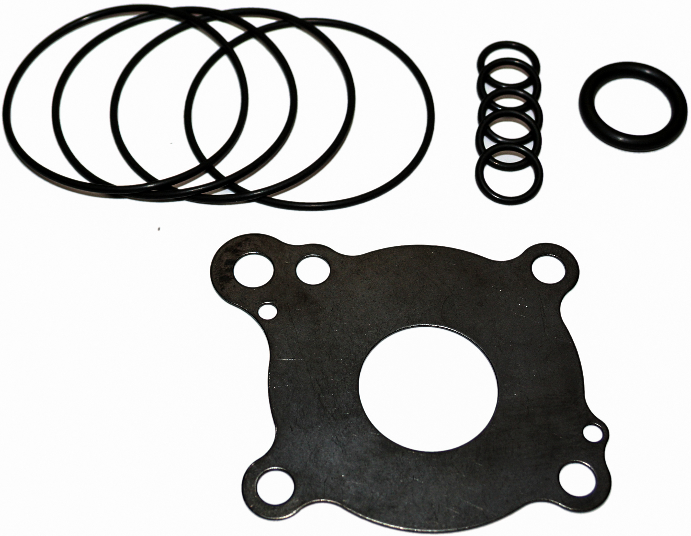 Oil Pump Rebuild Kit