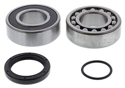 Chaincase Bearing and Seal Kit