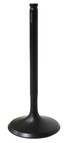 Intake Valve